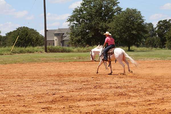 roping-quarter-horse