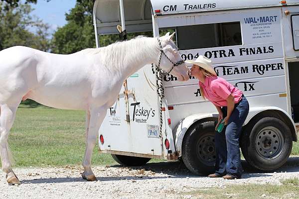 trail-riding-quarter-horse