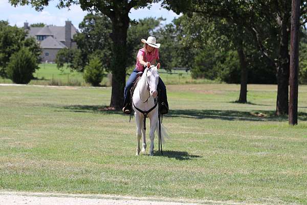 western-riding-quarter-horse