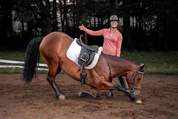 small-sock-horse