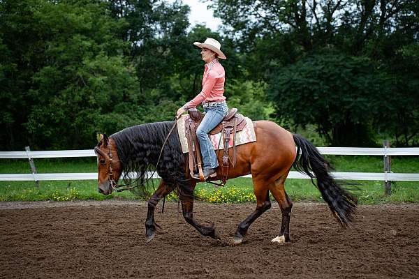 bay-small-sock-horse