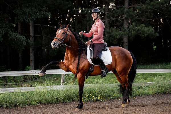 cowboy-mounted-shooting-gypsy-vanner-horse
