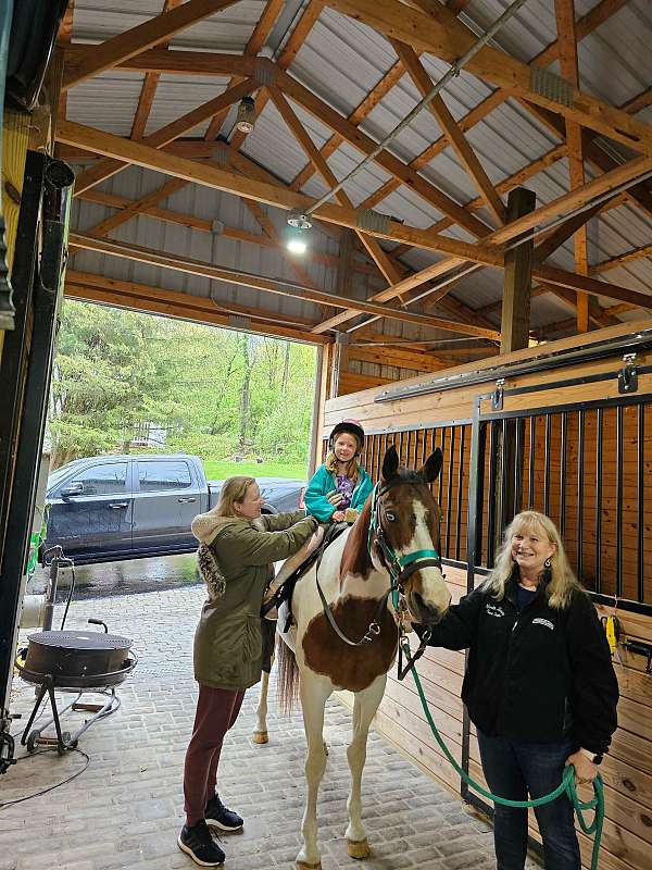 affordable-paint-horse