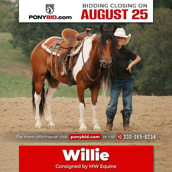 all-around-pony