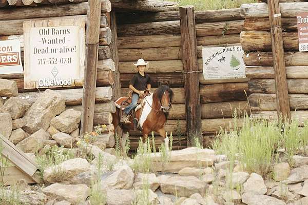 ranch-work-pony