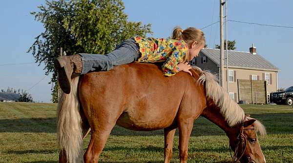 youth-miniature-horse