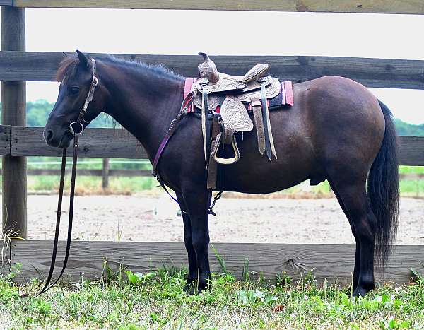 athletic-pony