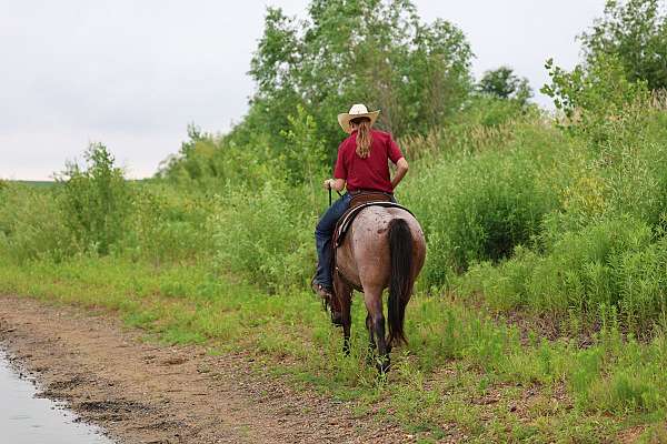 man-quarter-pony