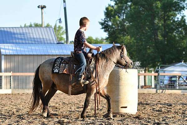 ability-poa-pony