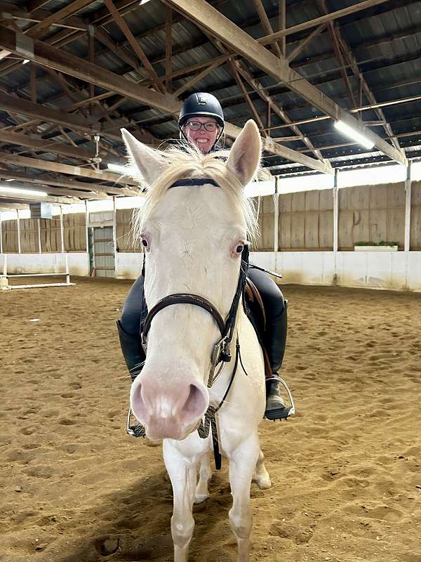 pony-mare