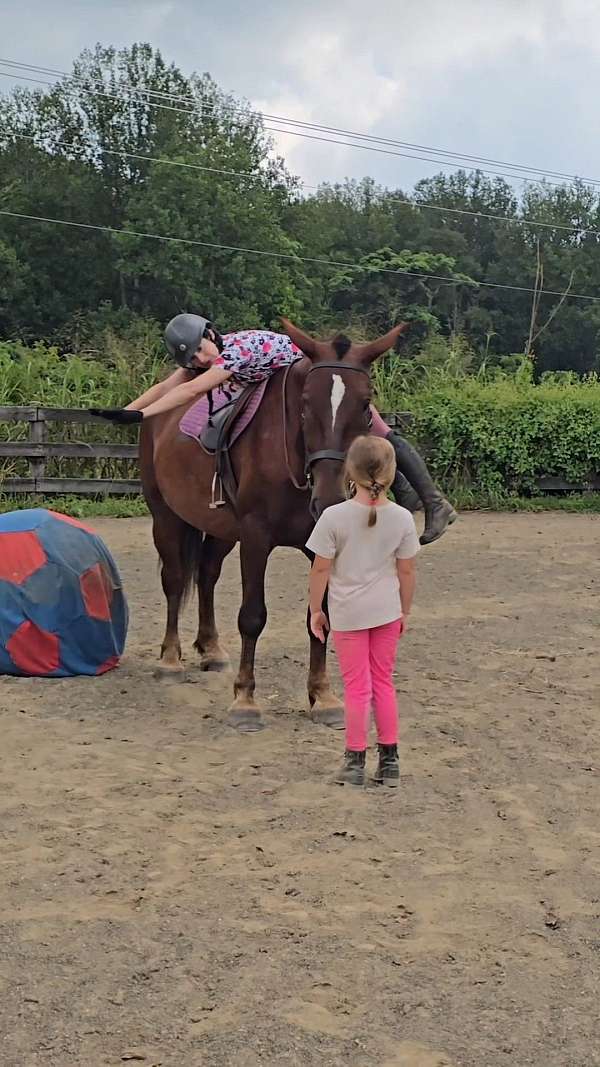 flashy-draft-horse