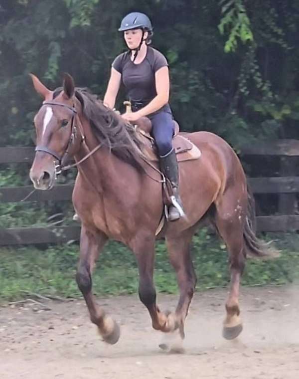kid-safe-draft-horse
