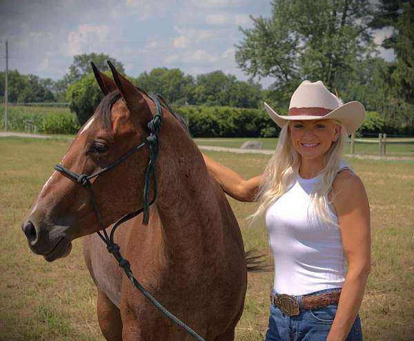 ranch-work-quarter-horse