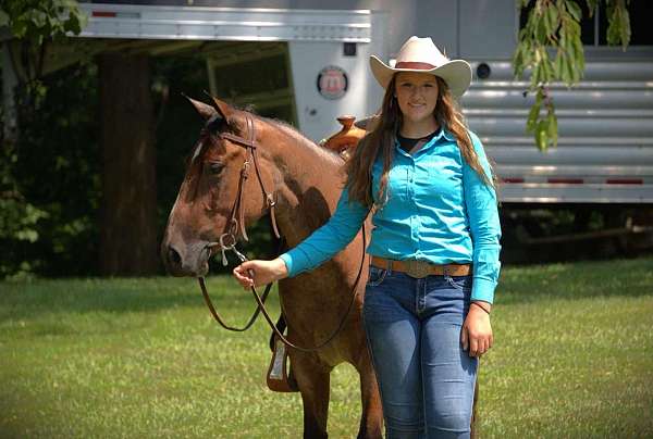 flashy-quarter-horse