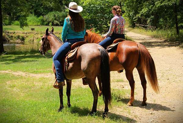 ranch-quarter-horse