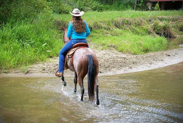 ranch-versatility-quarter-horse