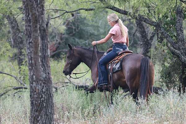 trail-quarter-horse