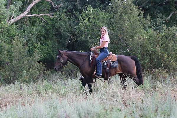 all-around-quarter-horse