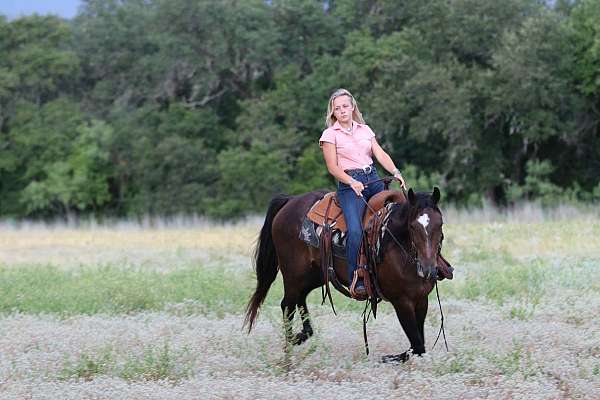 athletic-quarter-horse