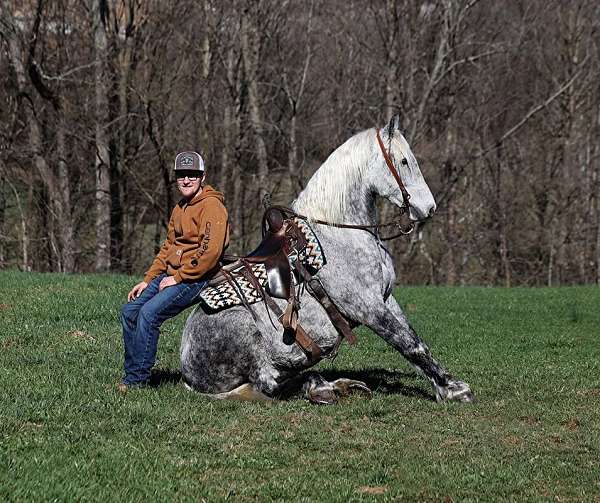palomino-none-horse