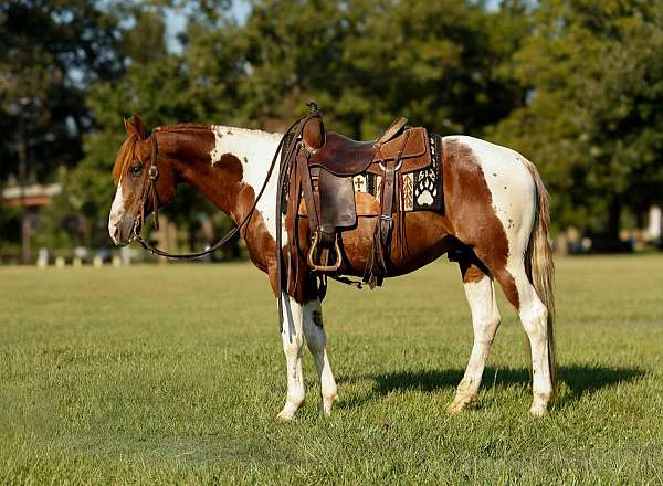 pleasing-mare