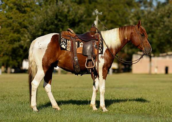 rey-mare