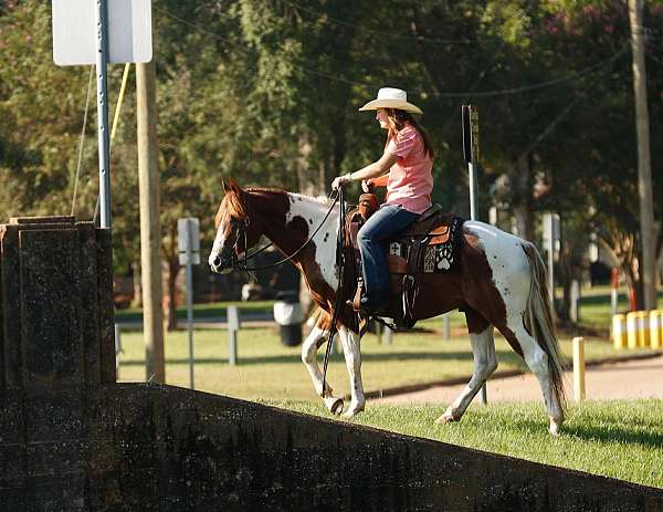 sorrel-flax-mane-tail-horse