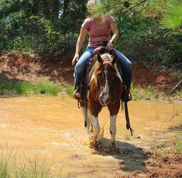 and-willing-quarter-horse
