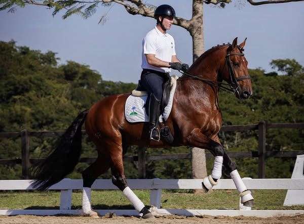 apsl-fei-colt