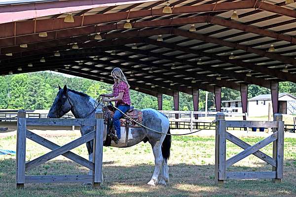 bombproof-draft-horse