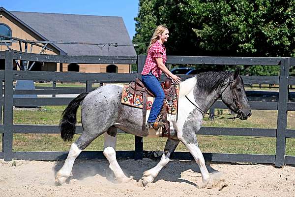 draft-cross-horse