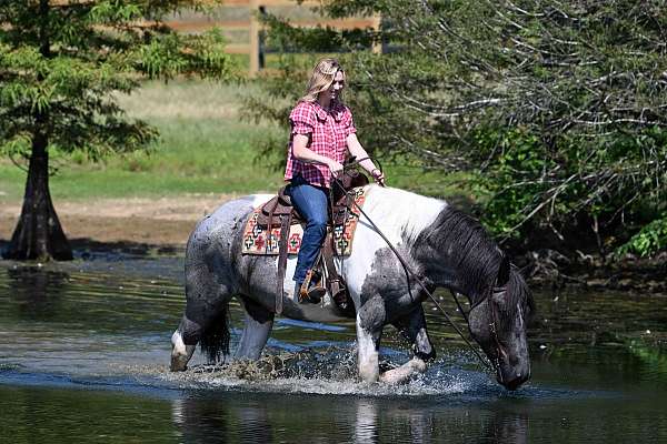 family-draft-horse