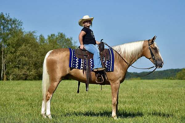 gun-safe-horse-tennessee-walking