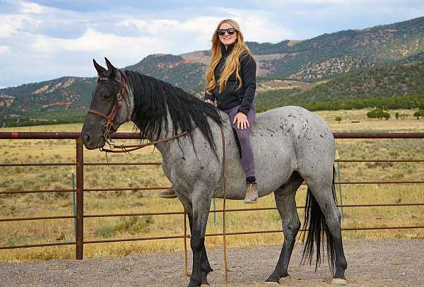 kid-friendly-horse-rocky-mountain
