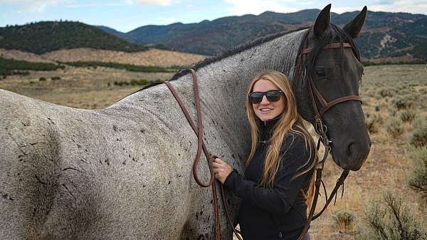 smooth-gaited-horse-rocky-mountain