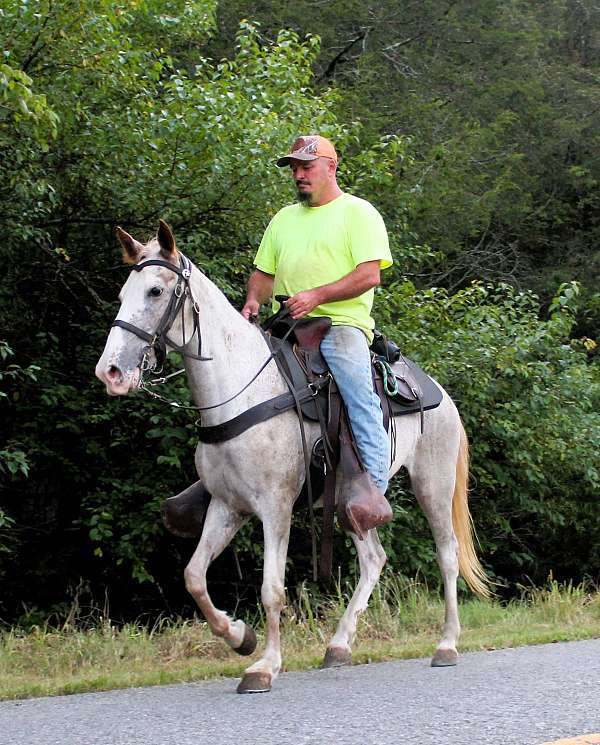 husband-hore-mare