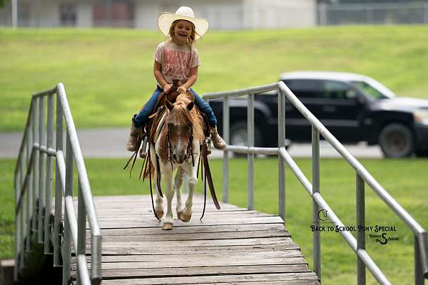 athletic-pony