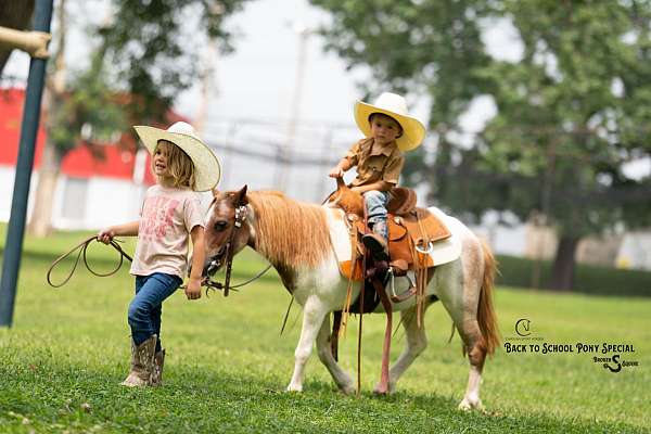 kid-safe-pony
