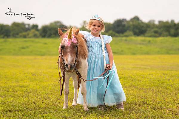 youth-pony
