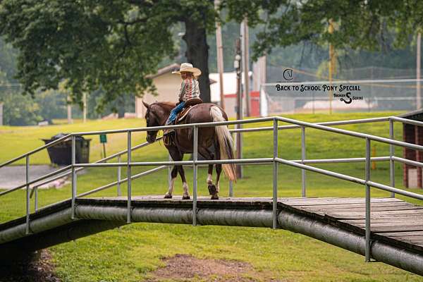 lesson-quarter-pony