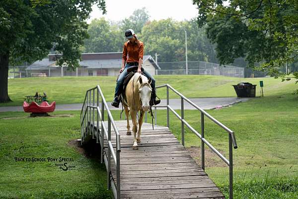 athletic-paint-horse