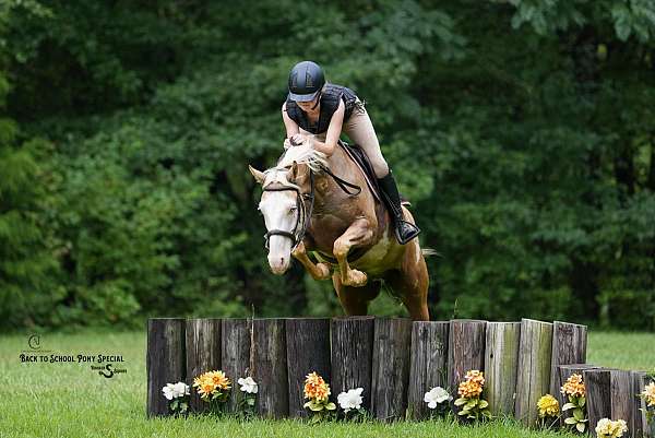 jumping-paint-horse
