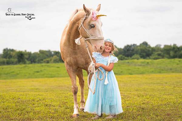 kid-safe-paint-horse