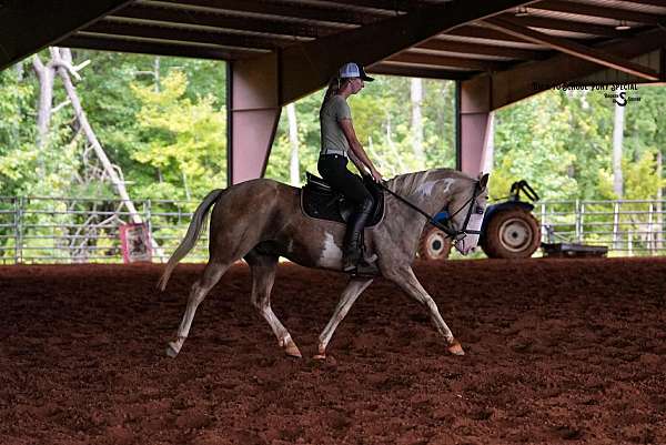 trail-paint-horse