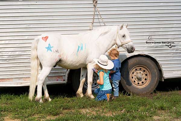 jumping-welsh-pony