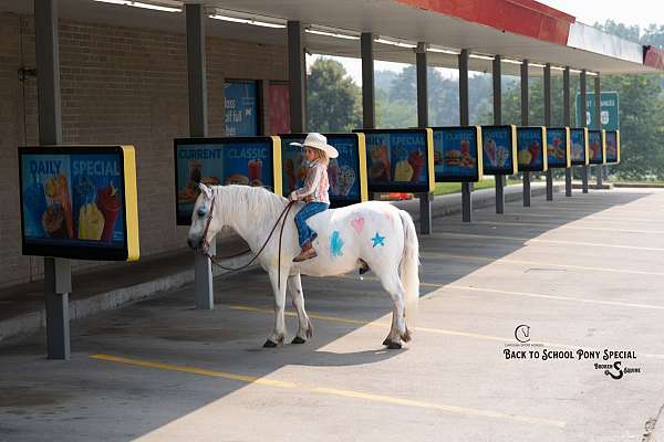 trail-riding-welsh-pony