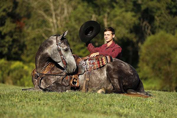 flashy-quarter-horse