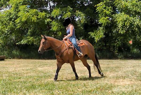athletic-paint-horse