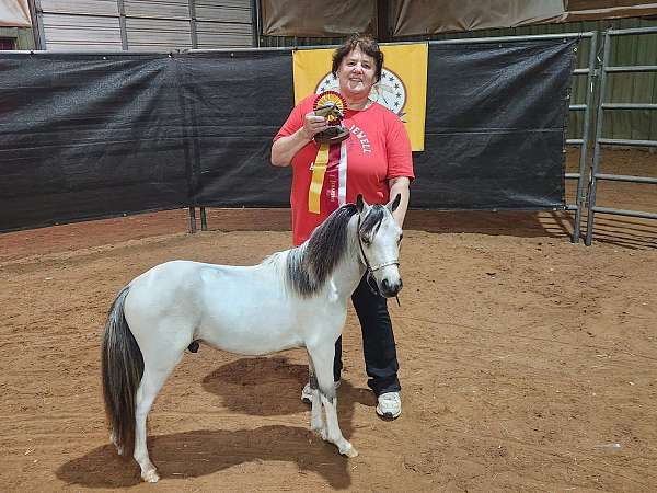 buckskin-both-front-stockings-horse