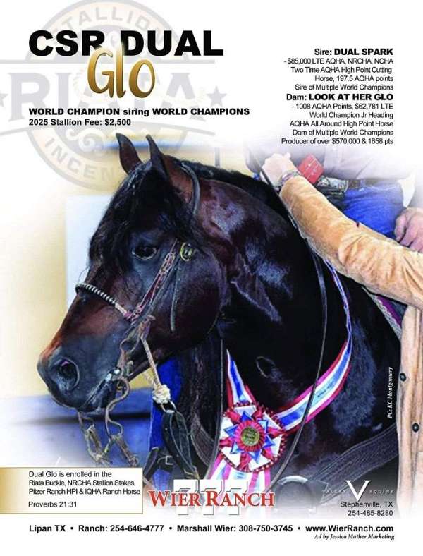 rope-quarter-horse
